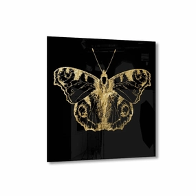 Butterfly Gold on acrylic framed mural artwork