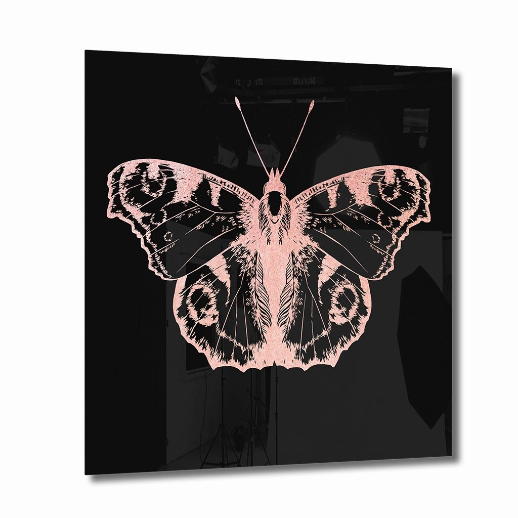 Butterfly Ros on Acrylic framed mural artwork