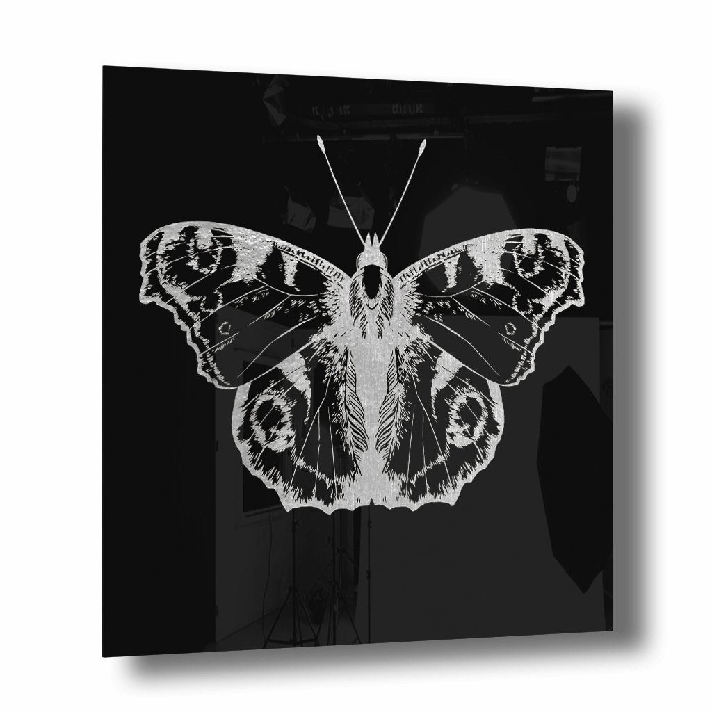 Butterfly Silver on Acrylic framed mural artwork