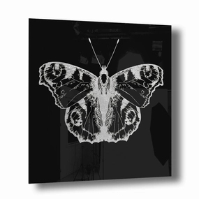 Butterfly Silver on Acrylic framed mural artwork