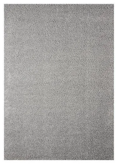 Caci 5' x 7' Rug neutral everyday carpet