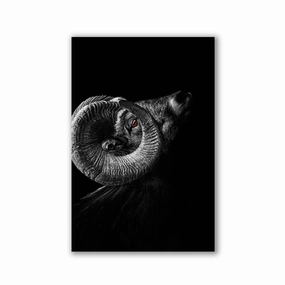 Capricorn Horn by Adrian Vieriu framed mural artwork