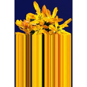 Carpet Glitch Yellow Rectangular neutral everyday carpet