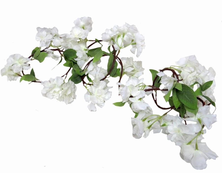 Cherry drape white