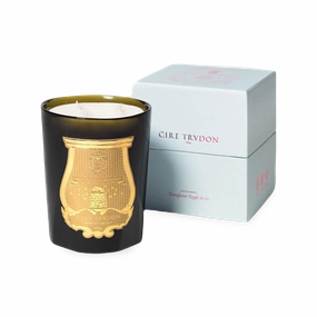 Cire Trudon Candle creative interior decor
