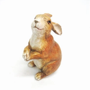 Clements Bunny