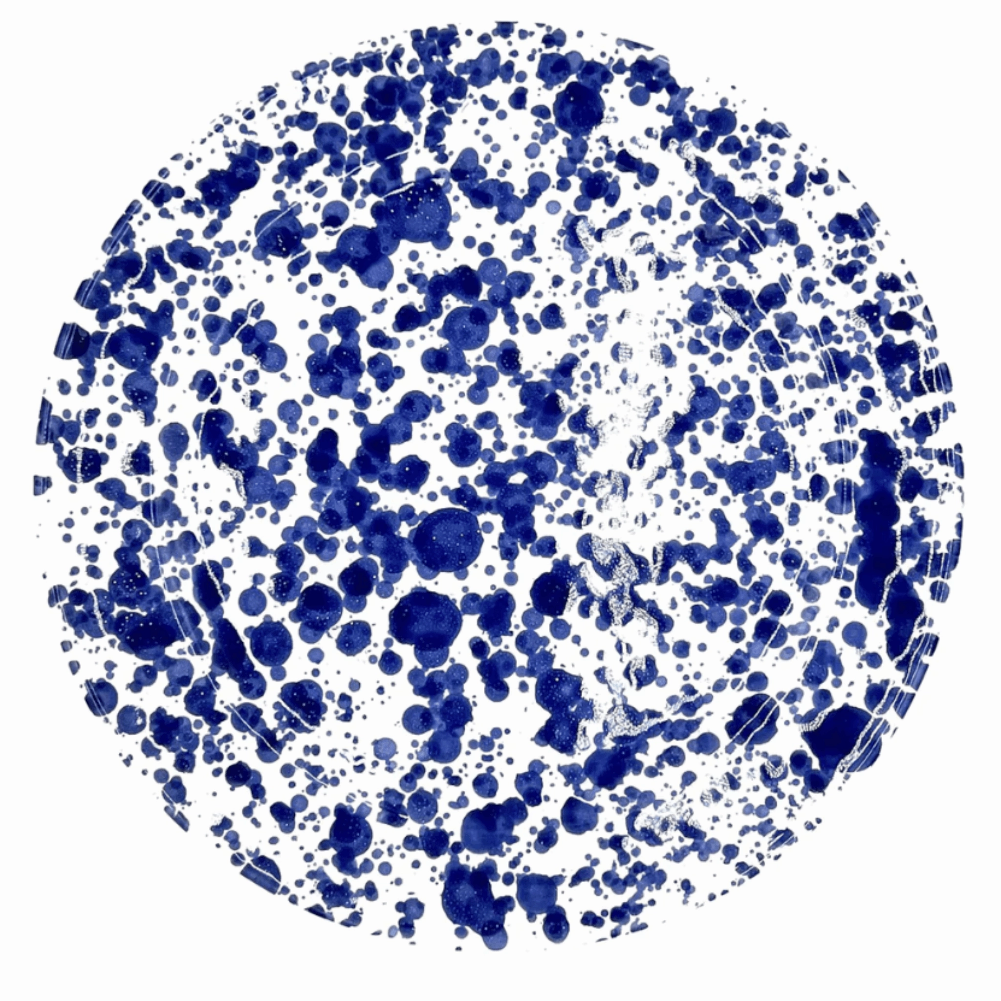 Cobalt Blue & White Speckled Ceramic Dinner Plate cute desktop display
