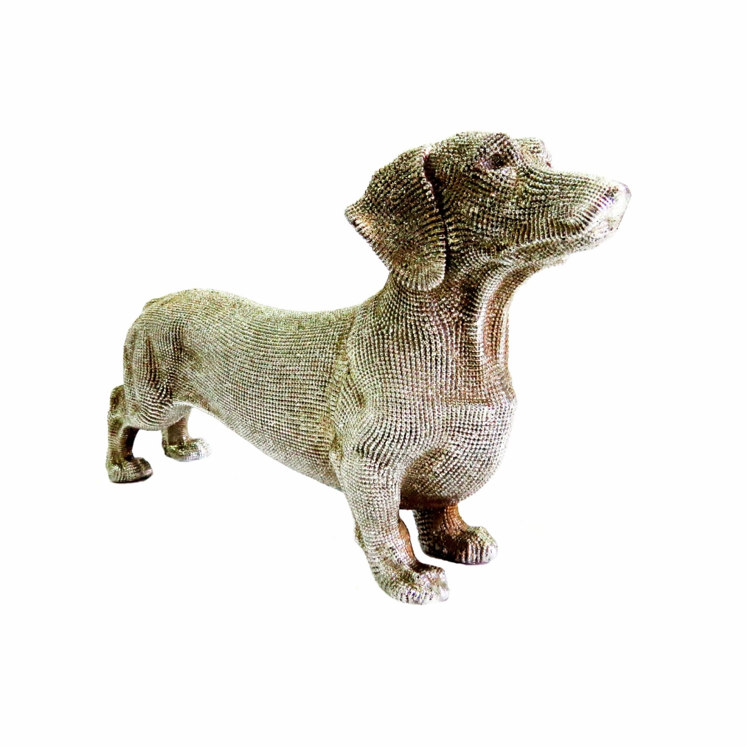 Coco Sausage Dog