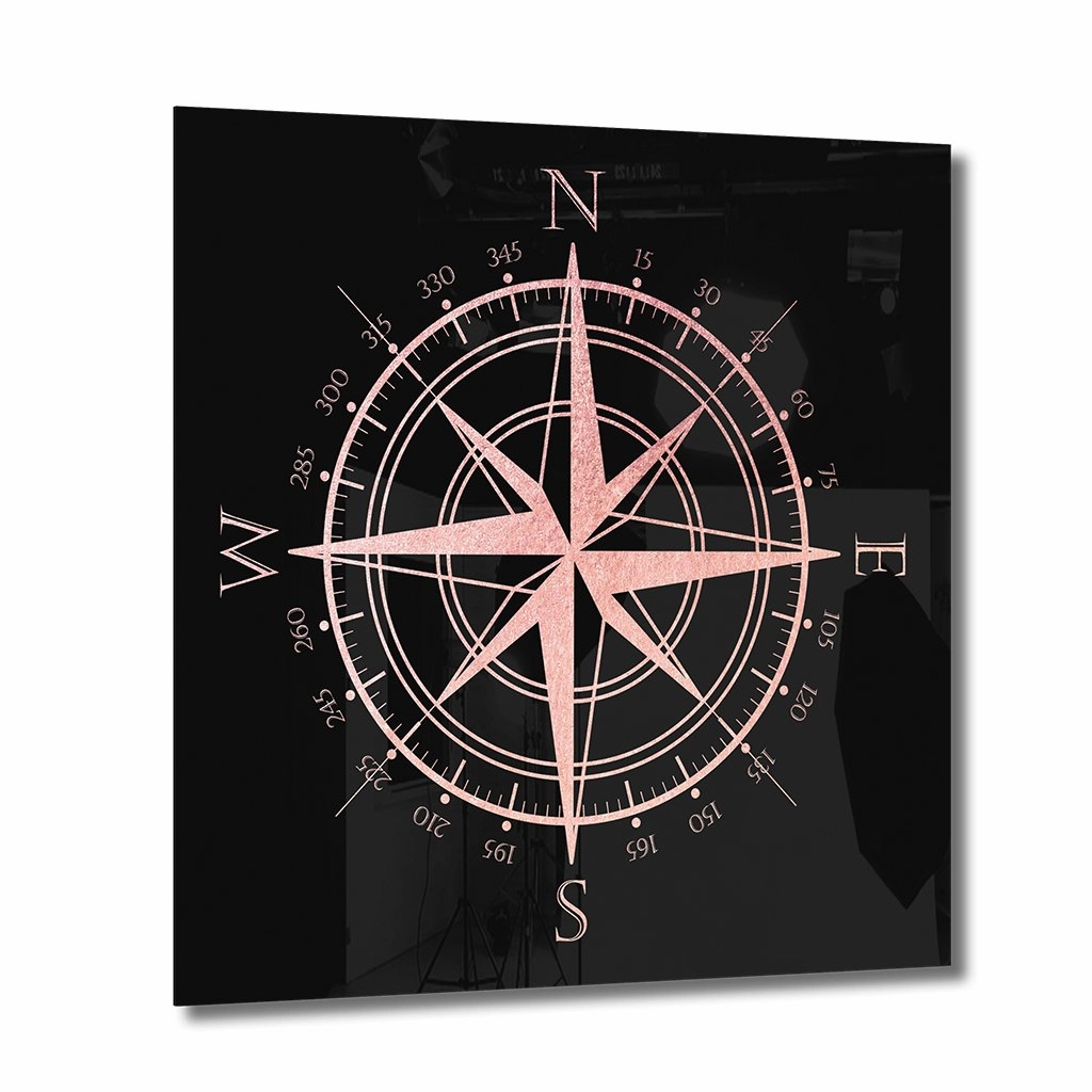 Compass Ros on Acrylic framed mural artwork