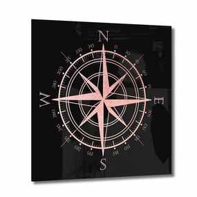 Compass Ros on Acrylic framed mural artwork