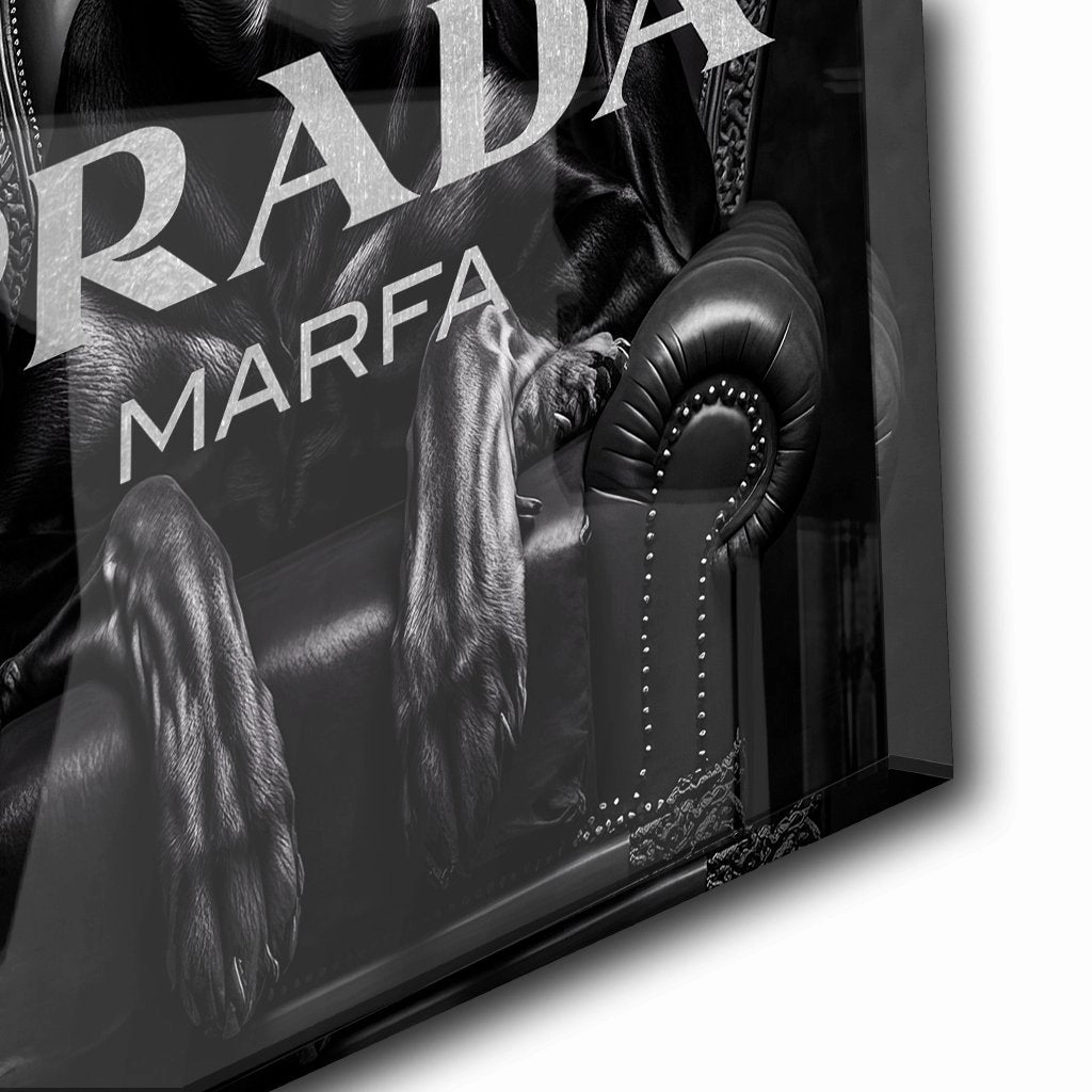 Confident Prada by Adrian Vieriu Silver on Acrylic