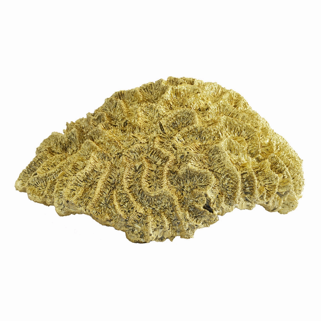 Coral Brain Large Gold