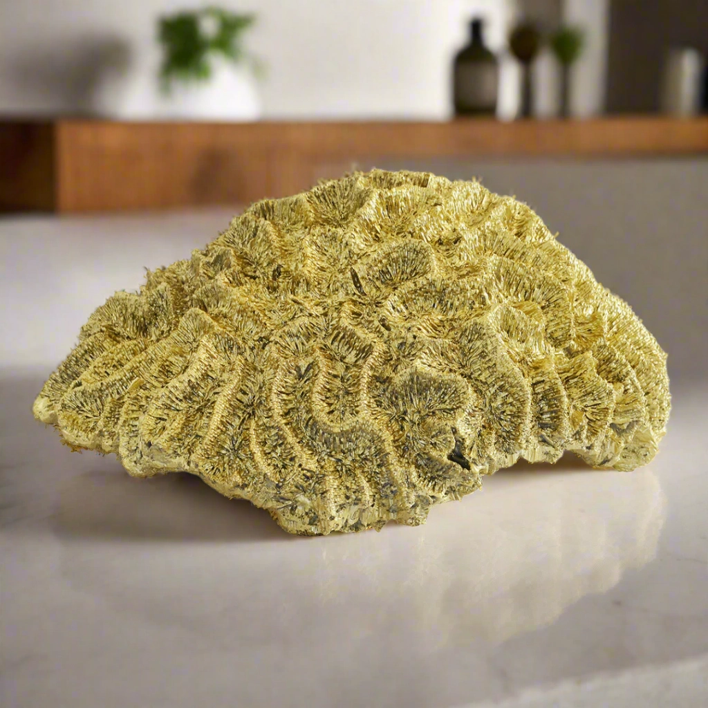 Coral Brain Large Gold