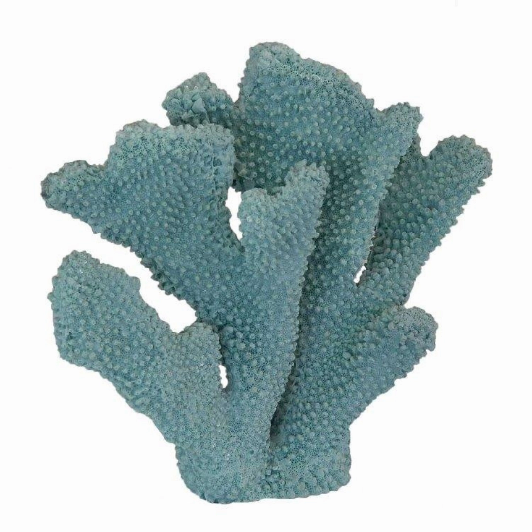 Coral Ear Blue