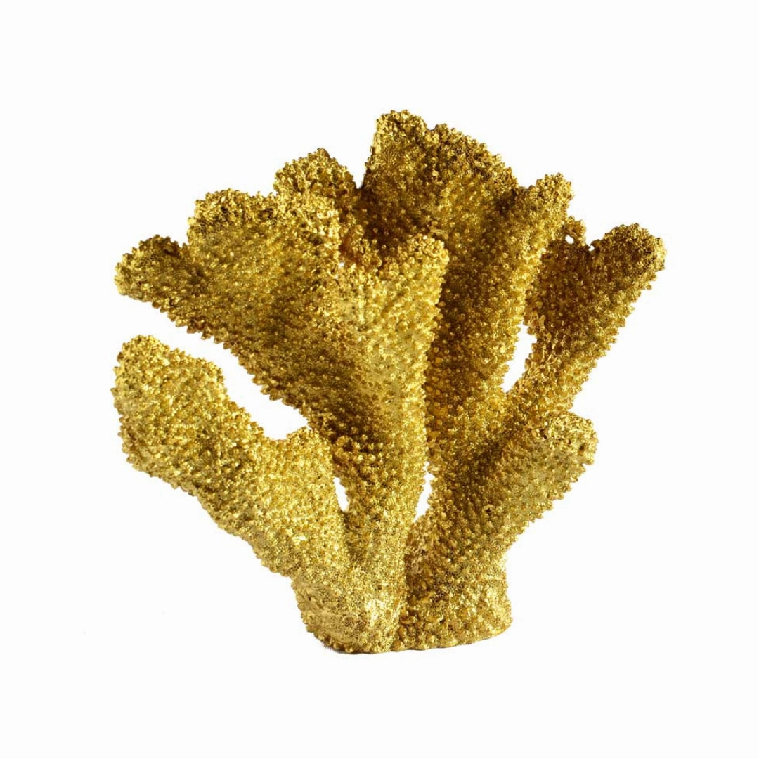 Coral Ear Gold Earrings
