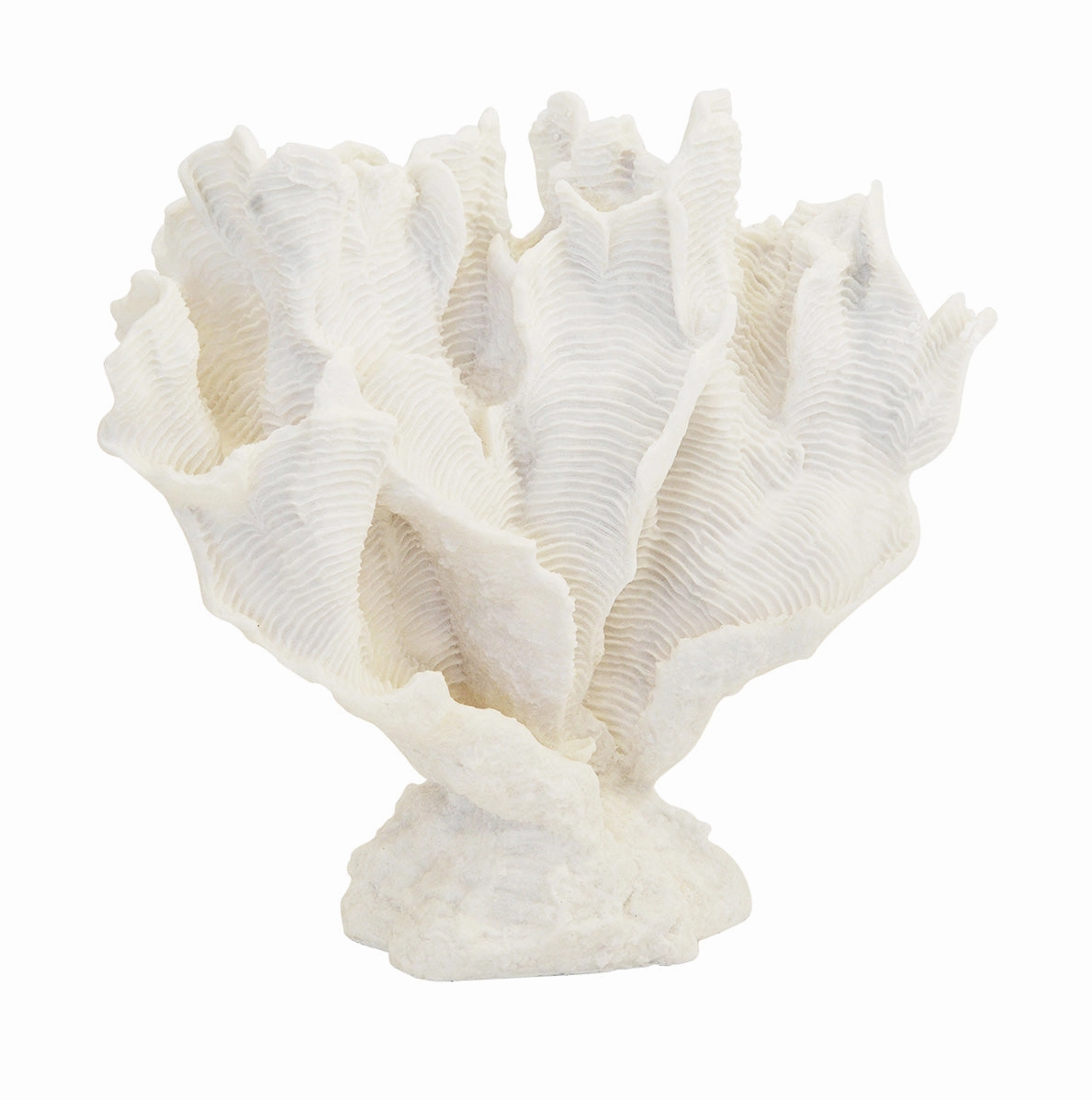 Coral lettuce on stand white x.large (32cm x 40cm)