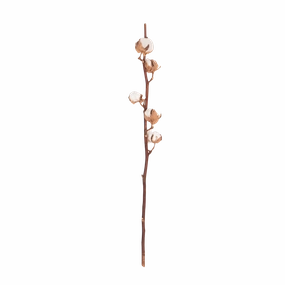 Cotton Stem creative interior decor
