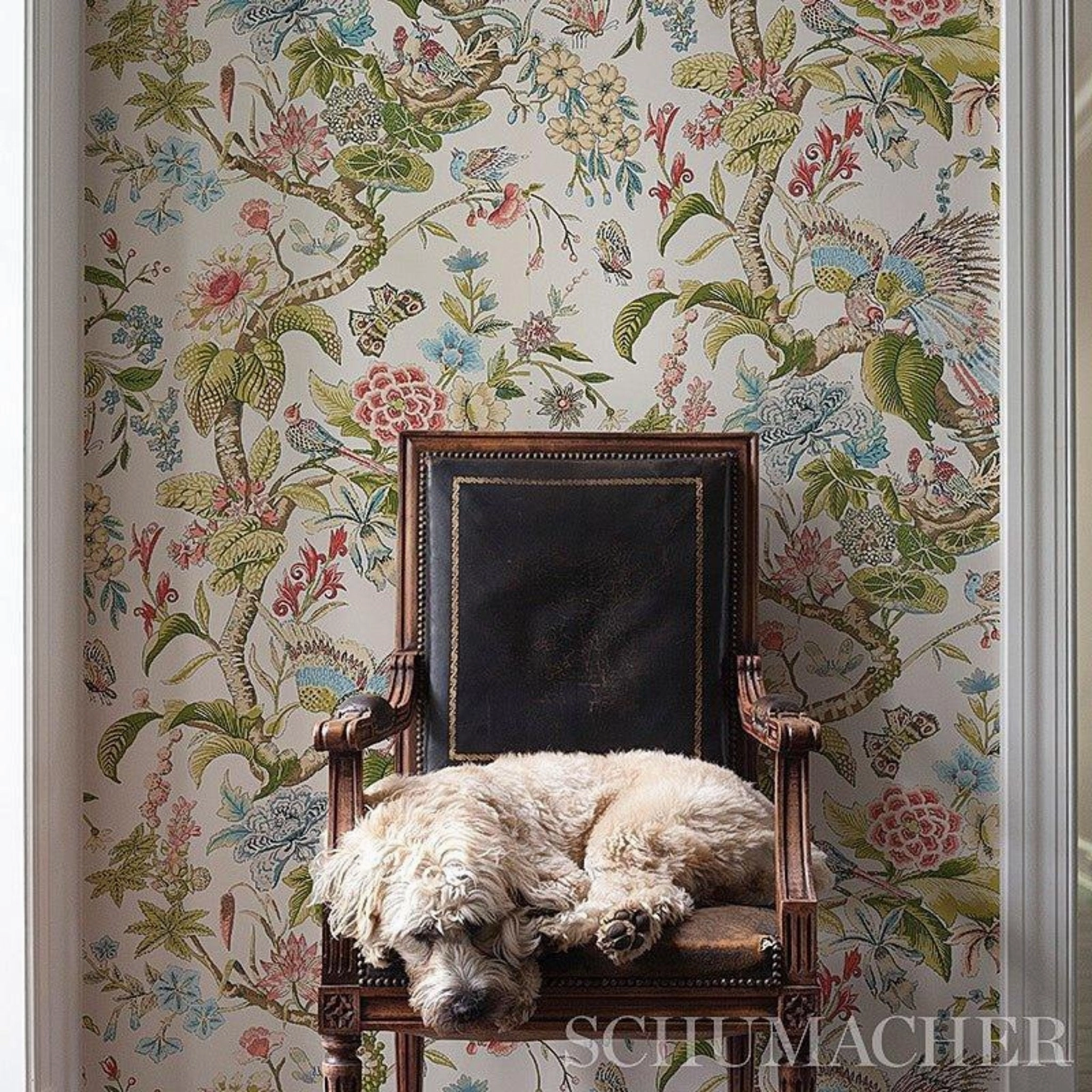 Cranley Garden Wallpaper in Pink