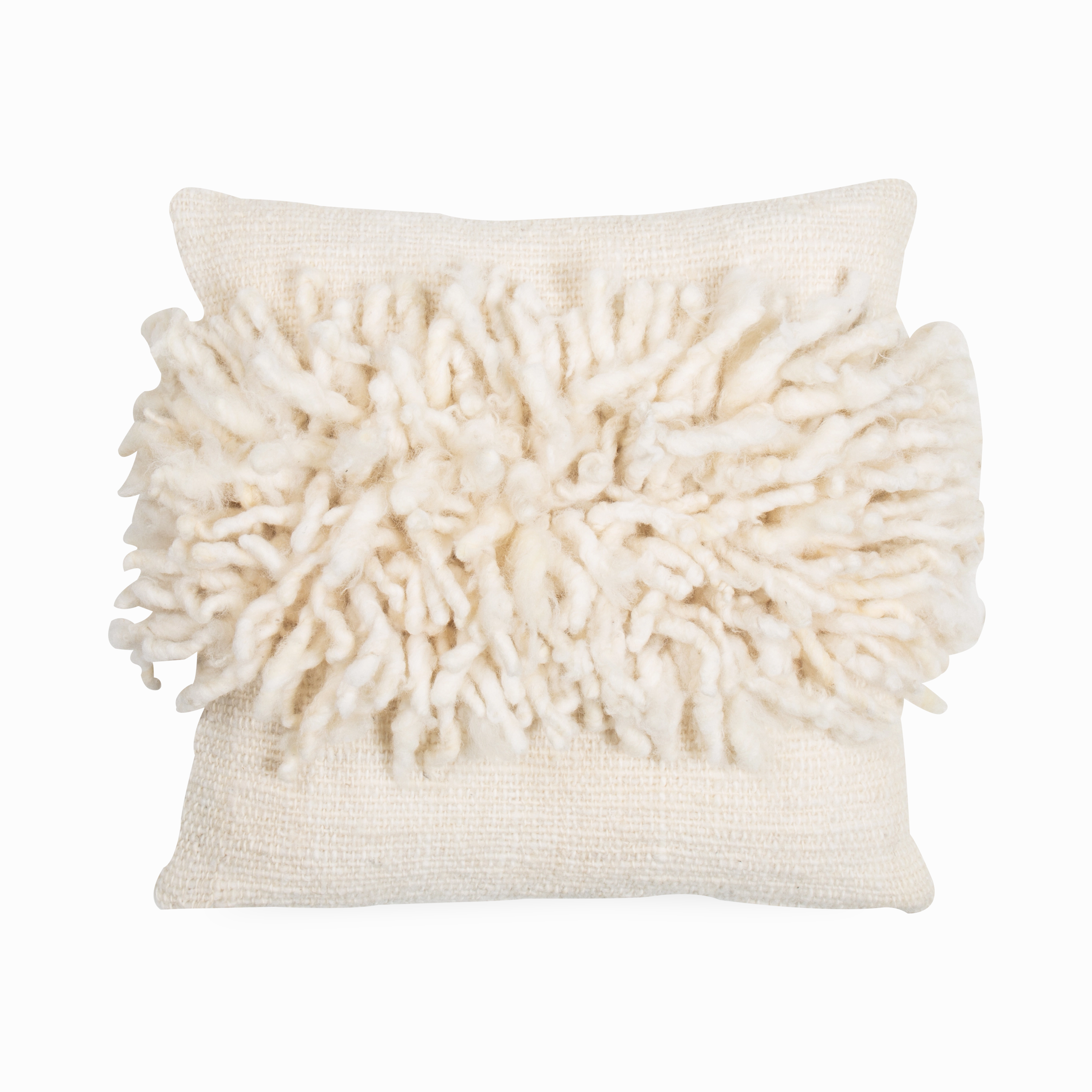 Curly Wool Pillow creative interior decor