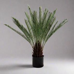 Cycad decorative home ornament