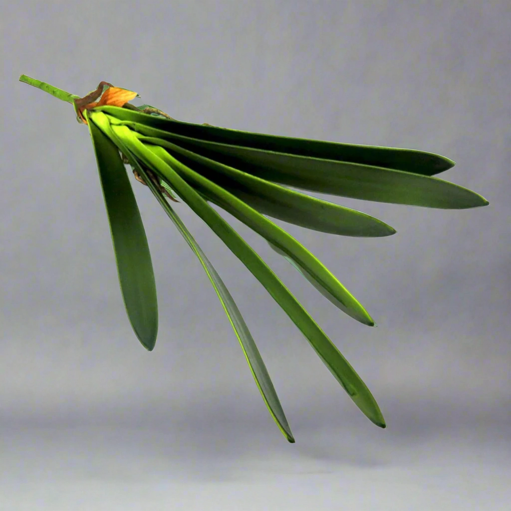 Cymbidium Leaf decorative home ornament