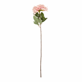 Dahlia Stem creative interior decor
