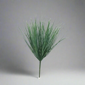 Dassiebush decorative home ornament