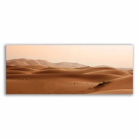 desert framed mural artwork