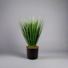 Dracaena decorative home ornament
