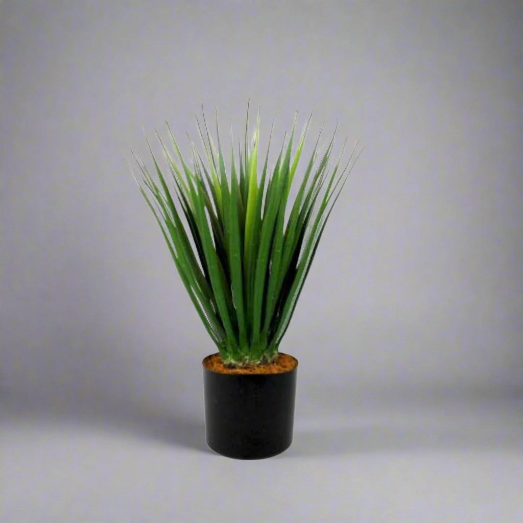 Dracaena decorative home ornament