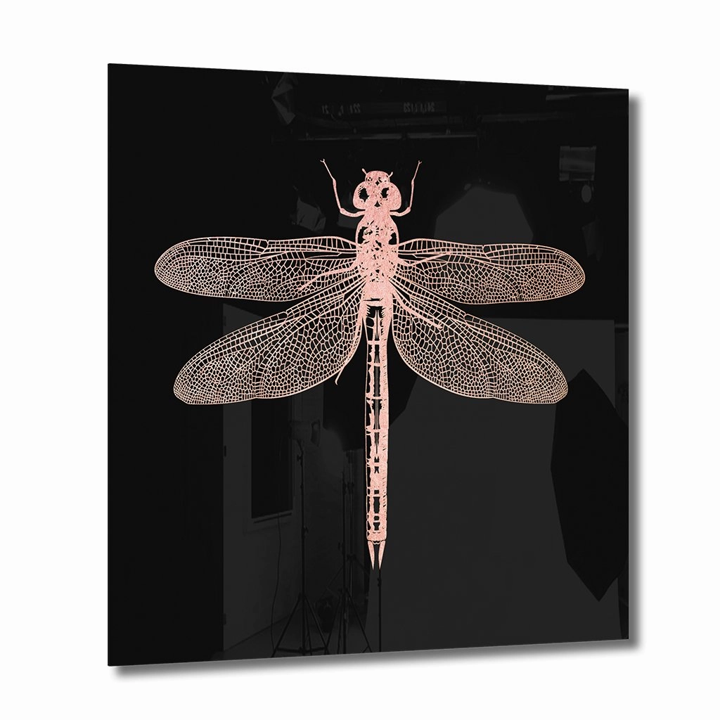 Dragonfly Ros on Acrylic framed mural artwork