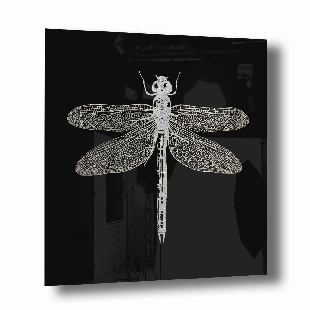 Dragonfly Silver on Acrylic framed mural artwork