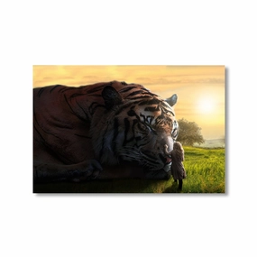 Dream Big-Tiger by Himmelmiez framed mural artwork