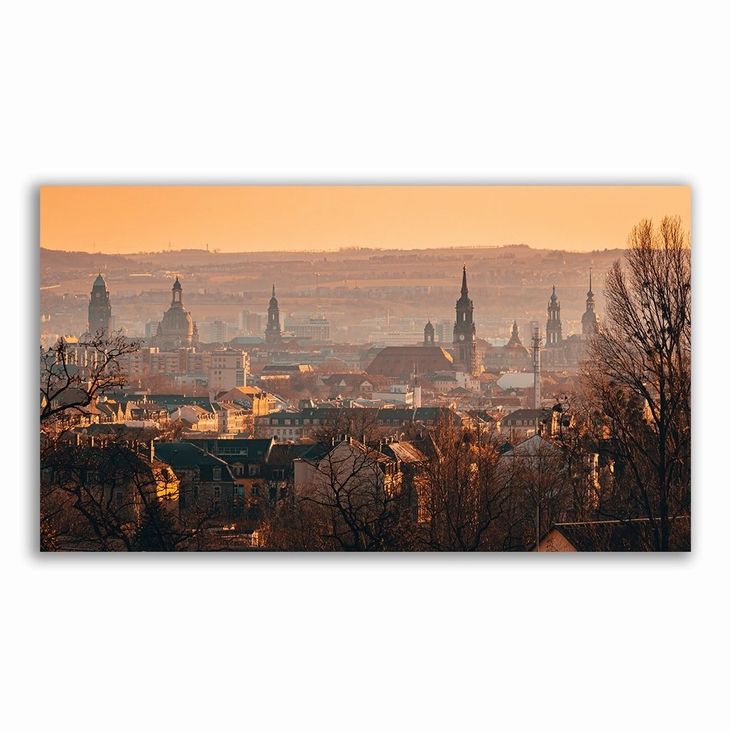 Dresden framed mural artwork