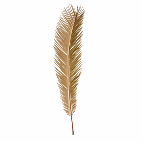 Dried Natural Cut Palm Leaf minimalist art object  