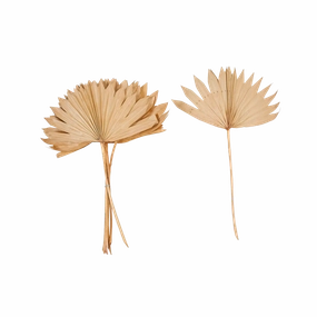 Dried Natural Palm Bunch minimalist art object  
