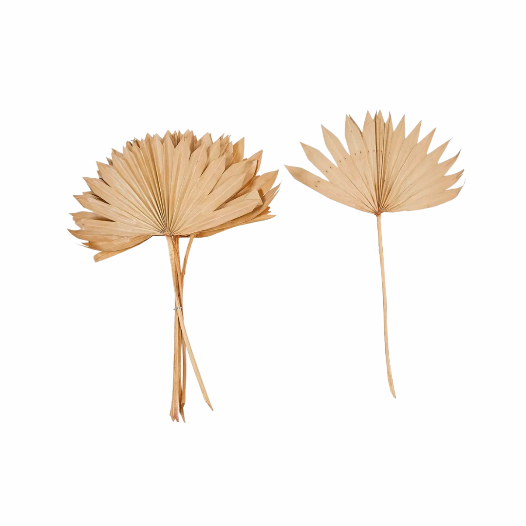 Dried Natural Palm Bunch minimalist art object  
