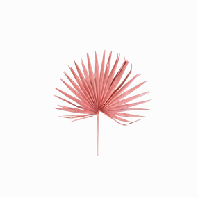 Dried Palm Leaf Bunch Pink Finish minimalist art object  