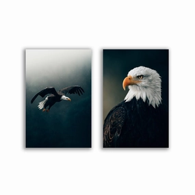Eagle - Duo by Philipp Pilz framed mural artwork