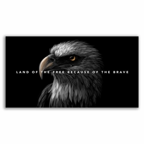 Eagle Land by Zenzdesign framed mural artwork