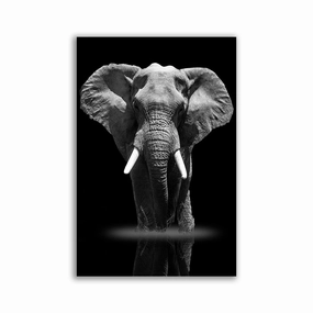 elephant framed mural artwork
