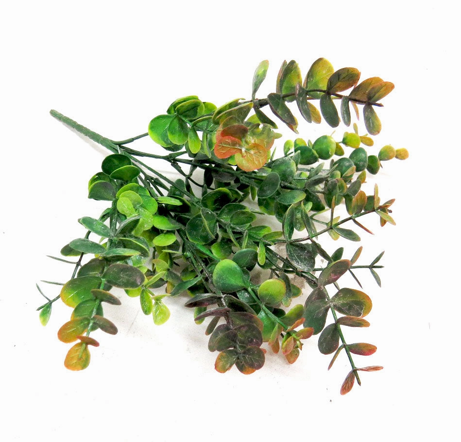 Euca Bunch Mellow Fruitfulness