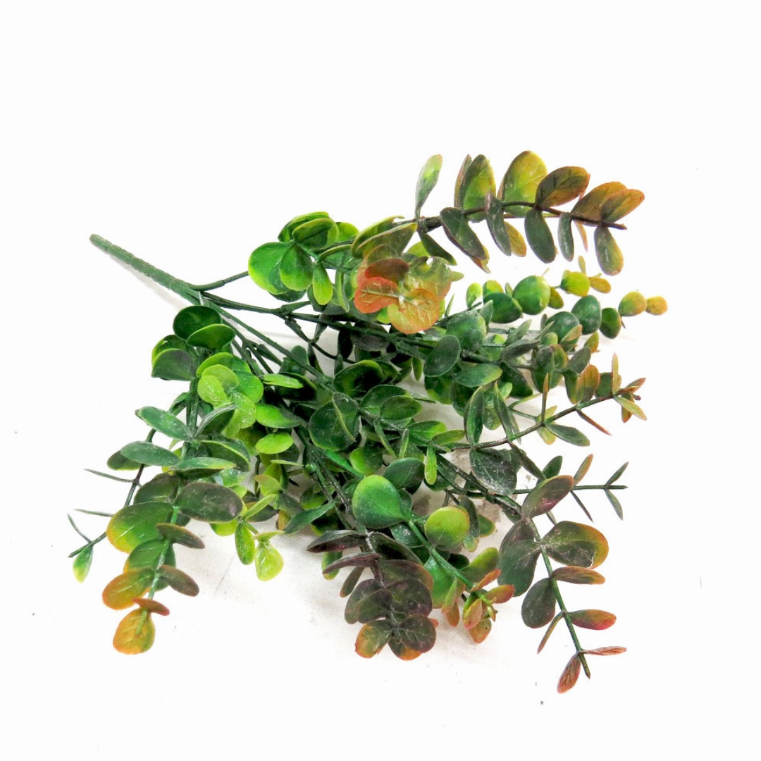 Euca Bunch Mellow Fruitfulness