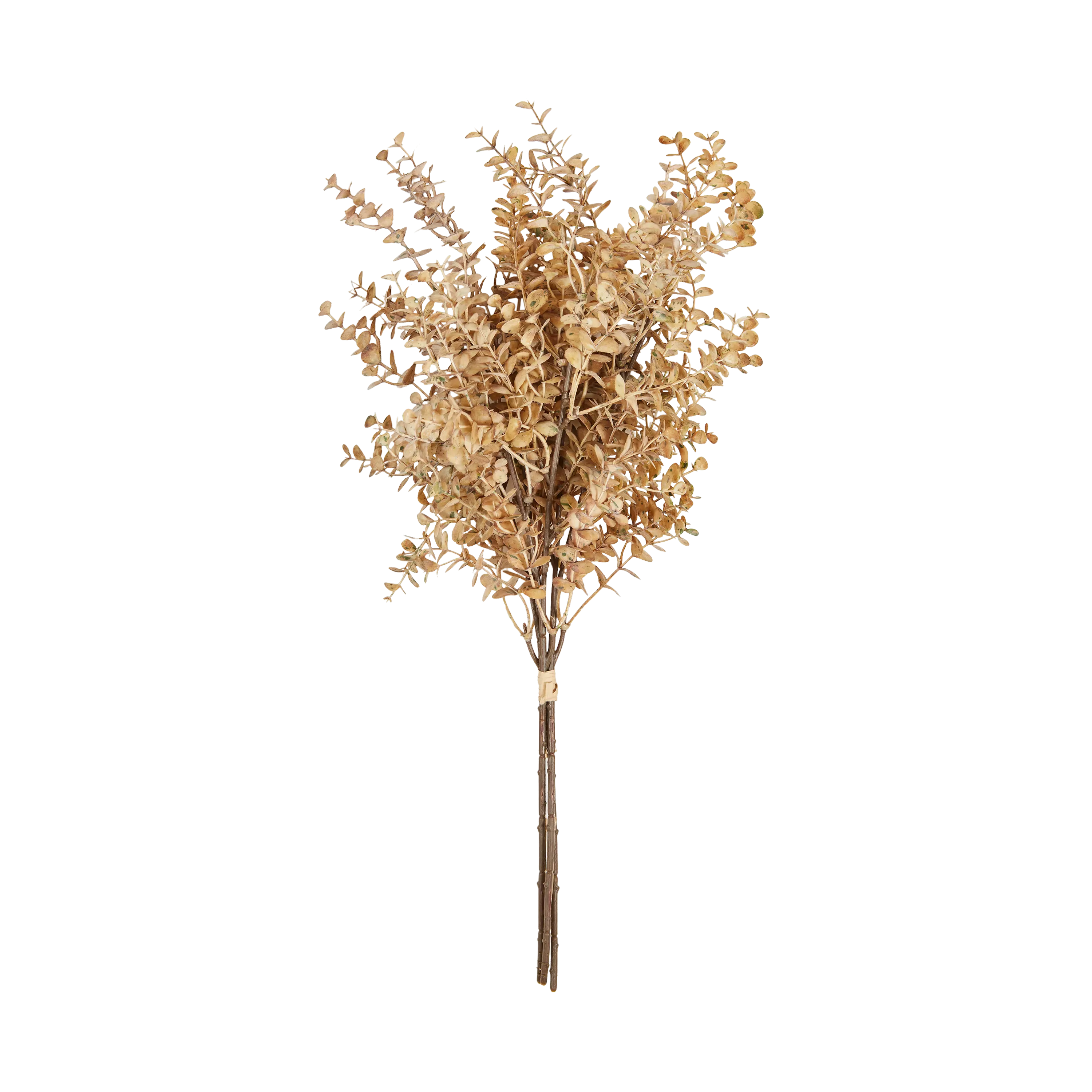 Eucalyptus Bunch creative interior decor