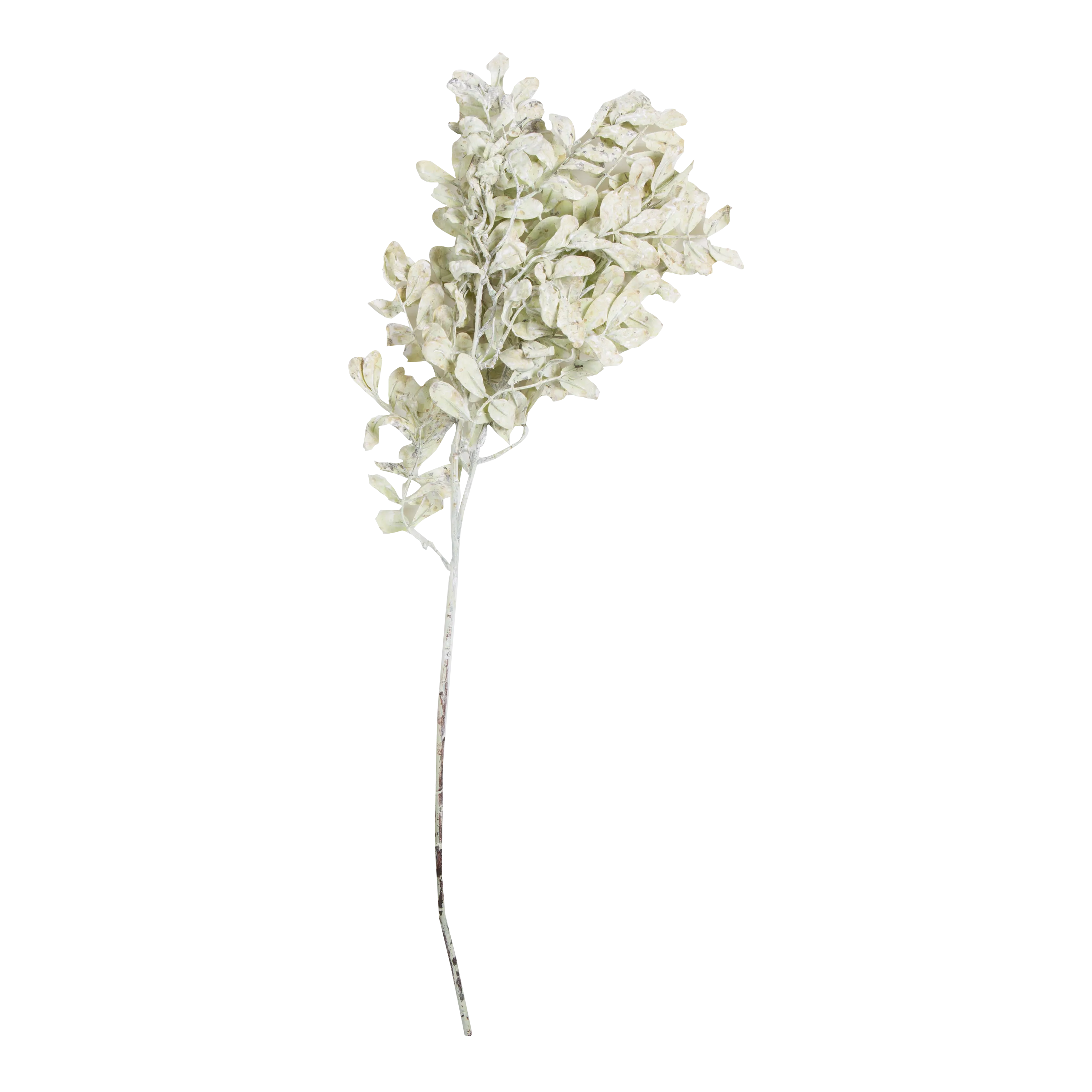 Eucalyptus Stem creative interior decor