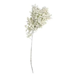 Eucalyptus Stem creative interior decor