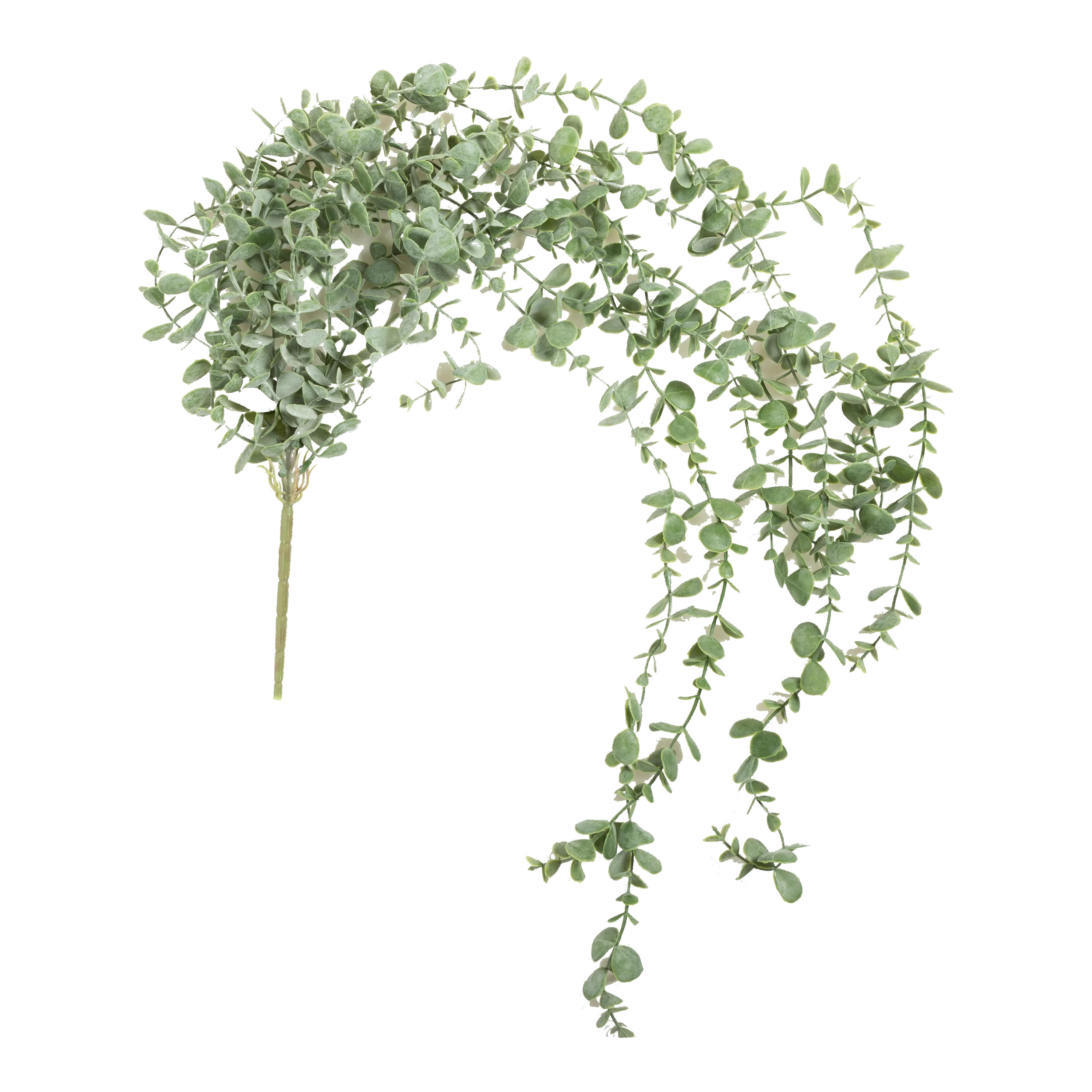 Eucalyptus Trailing Stem creative interior decor