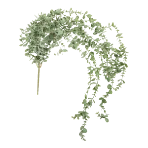 Eucalyptus Trailing Stem creative interior decor