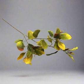 Eucalyptus Chartreuse decorative home ornament