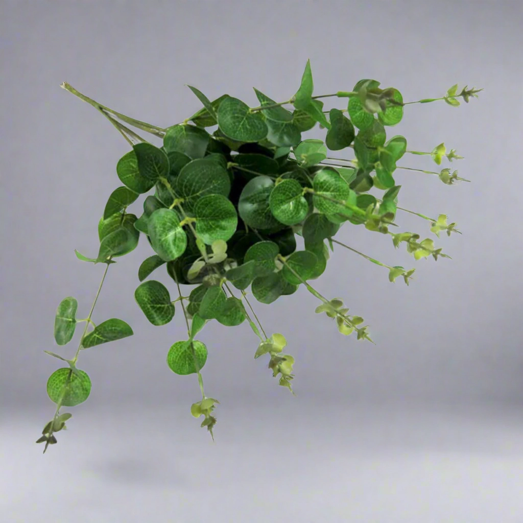 Eucalyptus Magnifica decorative home ornament